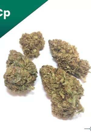 Skunk Berries HHCp Flower