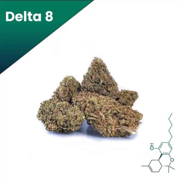 Hawaiian Haze Delta 8 Blüte