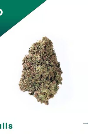 Spec Diesel Kleine Knospen CBD