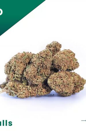 Suver Haze CBD-Blüten Kleine Knospen